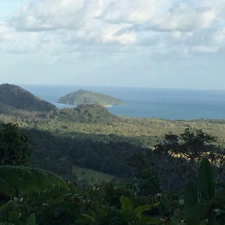 Egrets Rest Villa Daintree Exterior foto