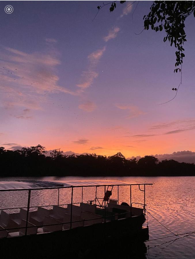 Egrets Rest Villa Daintree Exterior foto