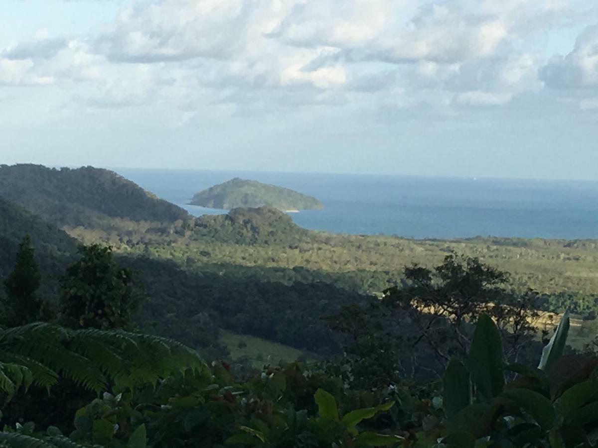 Egrets Rest Villa Daintree Exterior foto